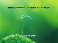 ܲ԰Ghost Win8.1 x32λ ׼װV2016.10(Լ)