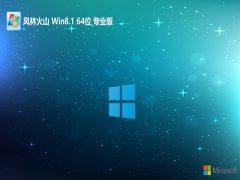 ֻɽ⼤win8.1 64λЧ԰v2024.12